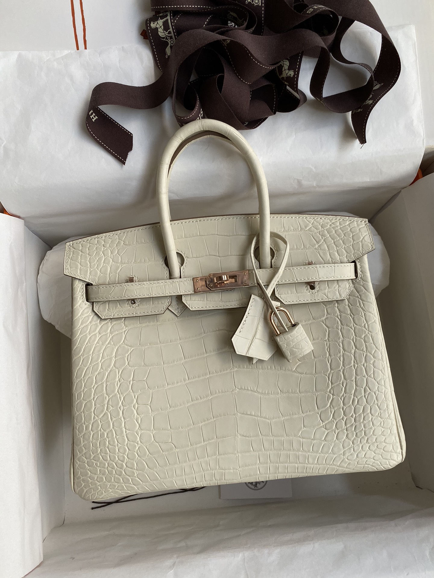 Hermes Birkin 25CM Handmade Bag In Nata Matte Alligator Leather